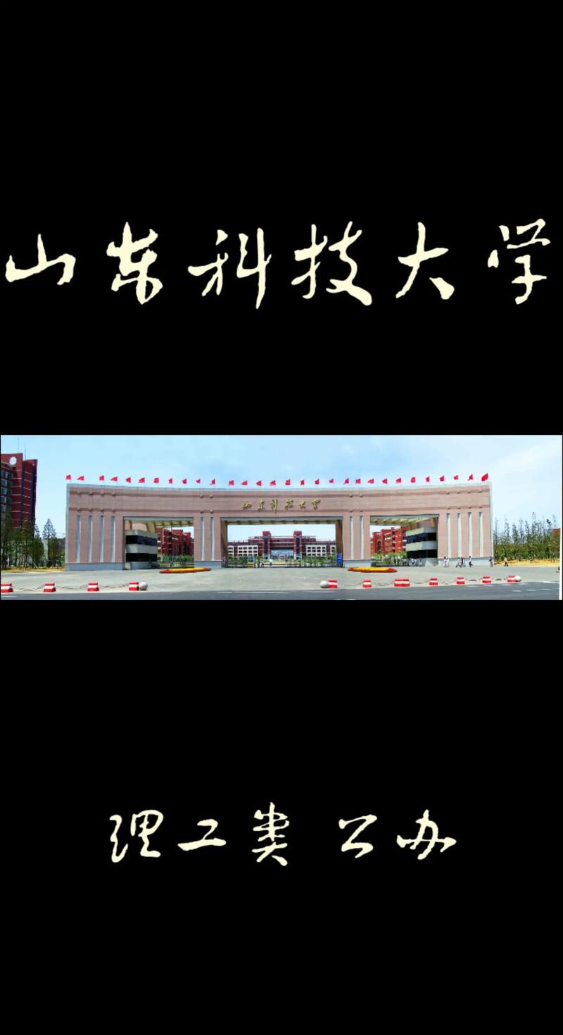 山东科技大学是一本吗