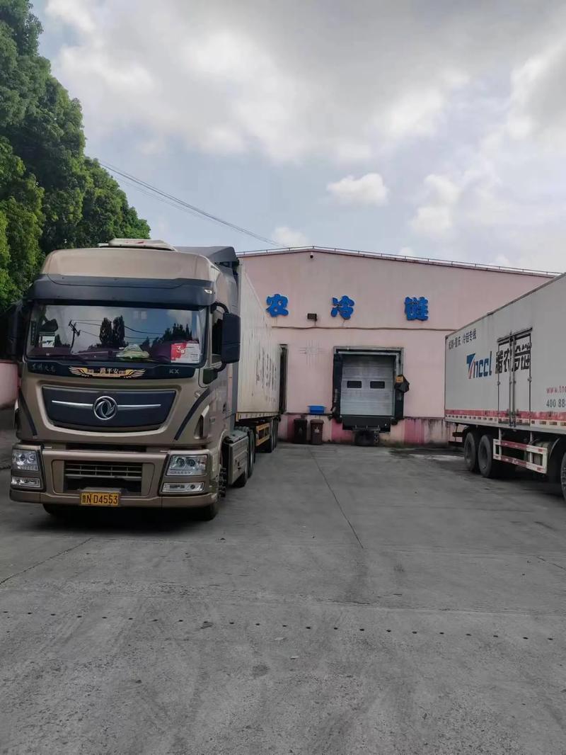 什么是冷链物流