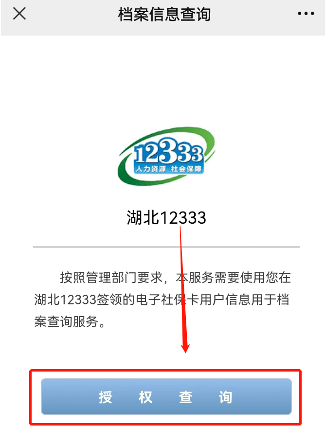 12333个人档案查询系统