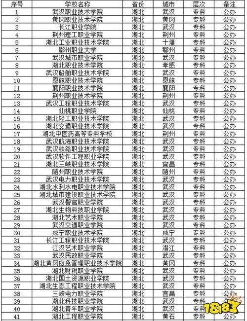 湖北有哪些专科学校