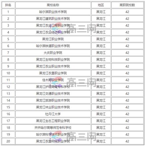 哈尔滨专科学校排名如何？哪些学校更具优势？