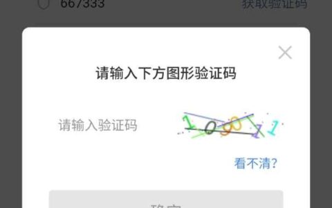 图形验证码怎么输入(图形验证码怎样填才对)