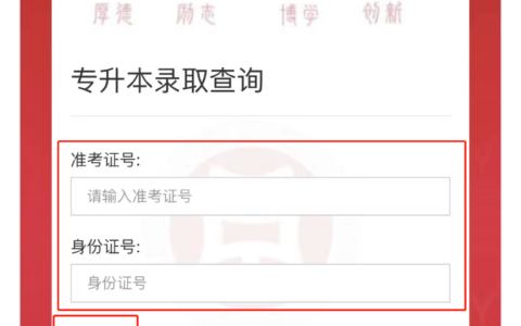 专升本考生号查询