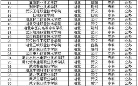 湖北有哪些专科学校