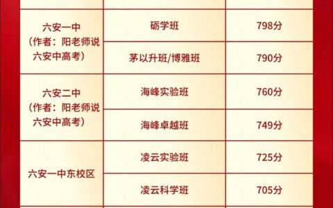 六安皖西中学录取分数线2024