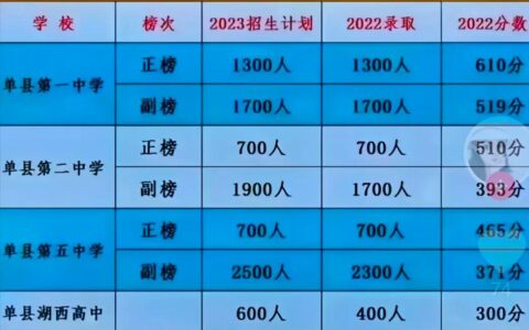 单县二中录取分数线2024年