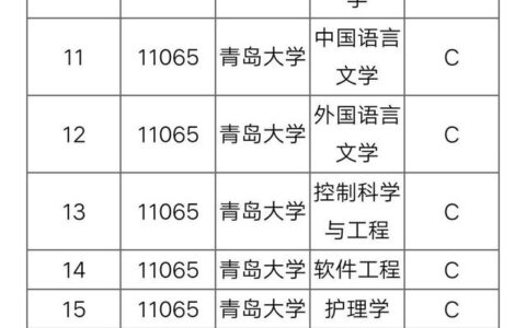 青岛大学学科评估