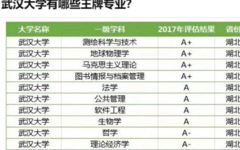 湖北大学王牌专业