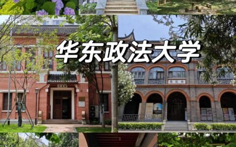 华东政法大学是双一流吗