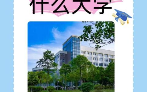 499分能上什么大学