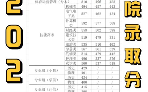 武汉城市职业学院分数线