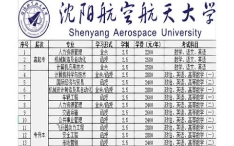 沈阳航空航天大学王牌专业