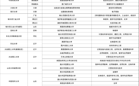 211大学中外合作办学一览表