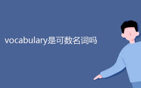 vocabulary可数吗