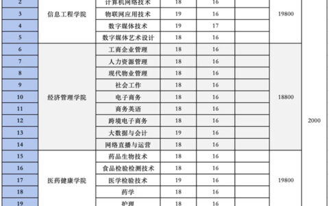 广东新安职业技术学院学费2024