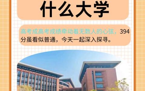 394分能上什么大学