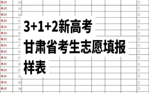 甘肃省高考志愿填报模板