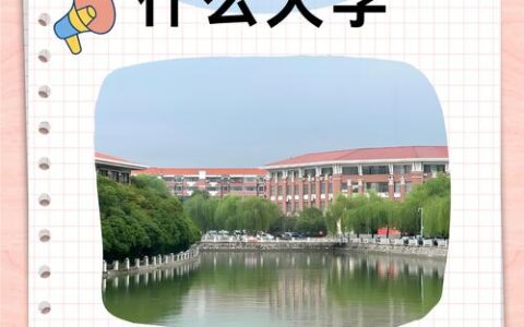 501分能考上什么大学