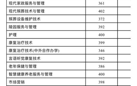 长沙民政职业学院录取线