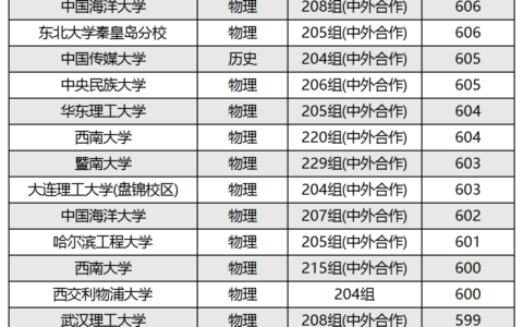 二本中外合作办学一览表