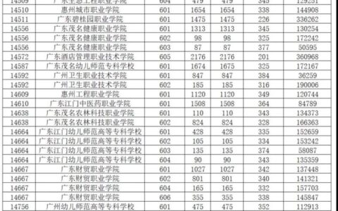 广东大学录取分数线2024