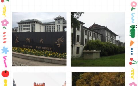 苏州大学中外合作办学