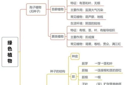 生物最完整的分类图