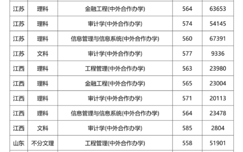 南京审计大学中外合作办学专业