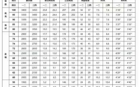 2024大学生体测标准评分表