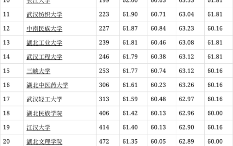 武汉轻工大学排名