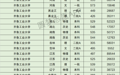 齐鲁工业大学排名