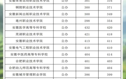 2024年大专分数线