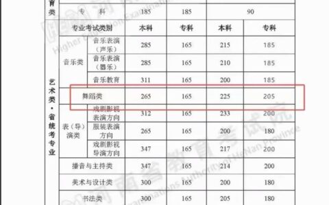 高考艺术文化课分数线