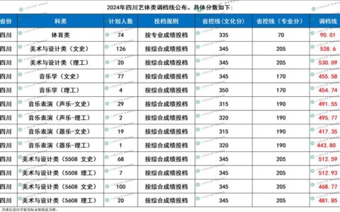 四川轻化工大学美术生录取分数线2024