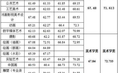 美院文化课分数线