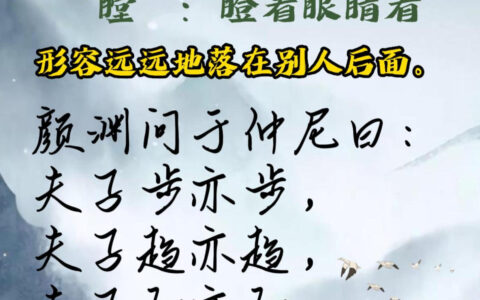 瞠乎其后的意思_解释_用法