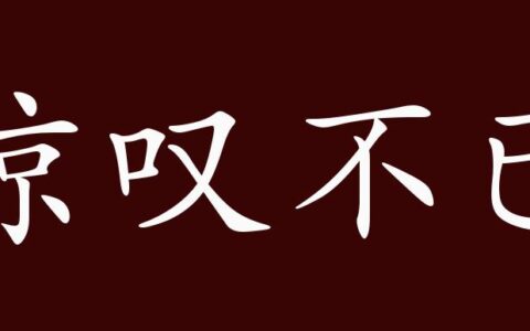 惊叹不已(详解)