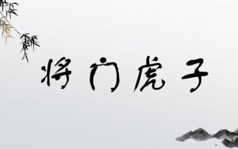 将门虎子(详解)