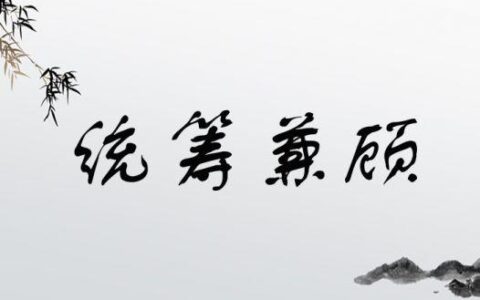 统筹兼顾(详解)