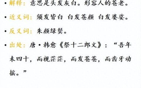 白发青衫的意思_解释_用法