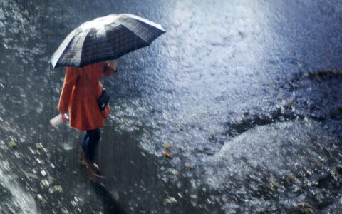 风雨飘摇(详解)