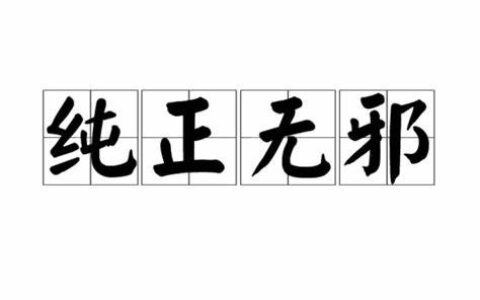 纯正无邪的意思_解释_出处