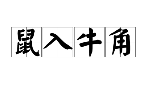 鼠入牛角(详解)