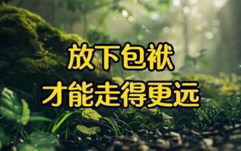 放下包袱(详解)