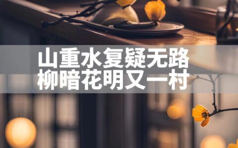 柳暗花明又一村的意思