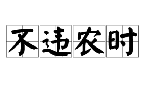 不违农时(详解)