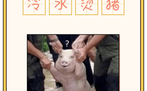 冷水烫猪是什么意思啊