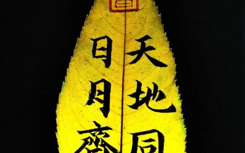 与天地同寿(详解)