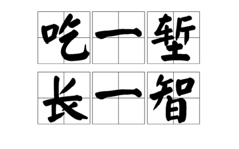 吃一堑，长一智是什么意思_解释_怎么读
