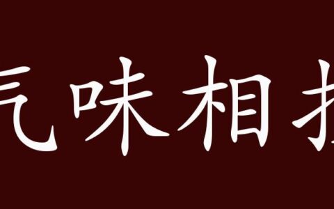 气味相投(详解)